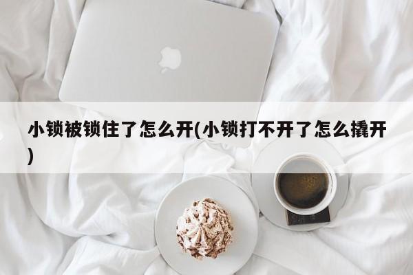 小锁被锁住了怎么开(小锁打不开了怎么撬开)