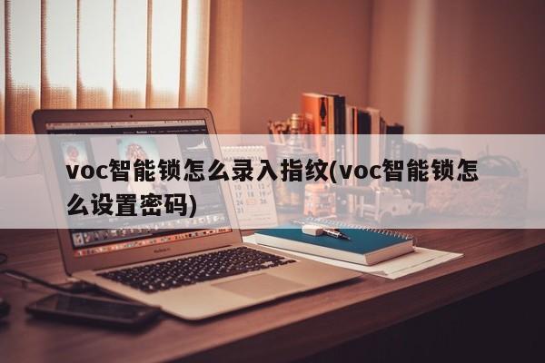 voc智能锁怎么录入指纹(voc智能锁怎么设置密码)