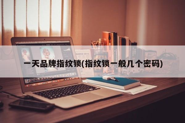 一天品牌指纹锁(指纹锁一般几个密码)