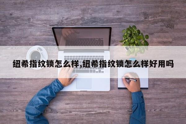 纽希指纹锁怎么样,纽希指纹锁怎么样好用吗