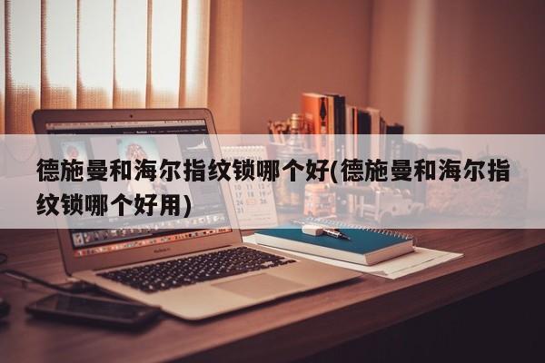 德施曼和海尔指纹锁哪个好(德施曼和海尔指纹锁哪个好用)