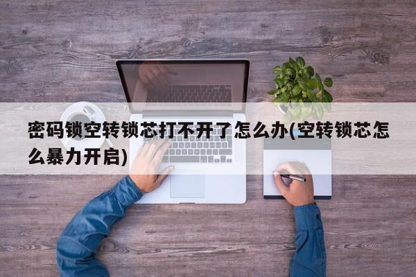 密码锁空转锁芯打不开了怎么办(空转锁芯怎么暴力开启)