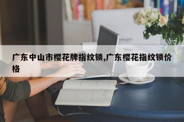 广东中山市樱花牌指纹锁,广东樱花指纹锁价格