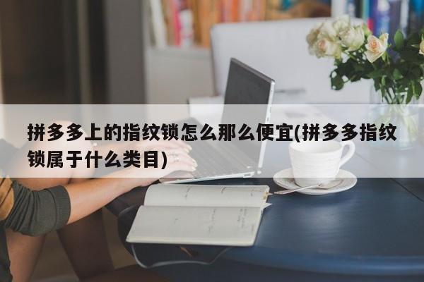 拼多多上的指纹锁怎么那么便宜(拼多多指纹锁属于什么类目)