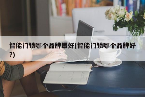 智能门锁哪个品牌最好(智能门锁哪个品牌好?) 第1张