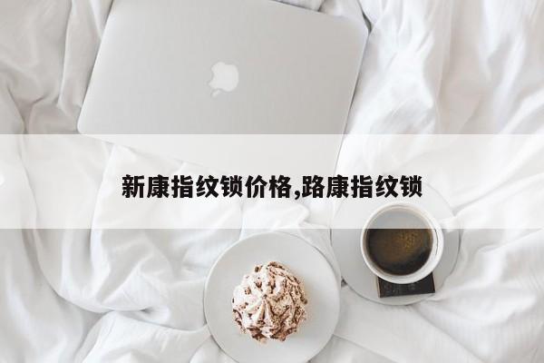 新康指纹锁价格,路康指纹锁 第1张