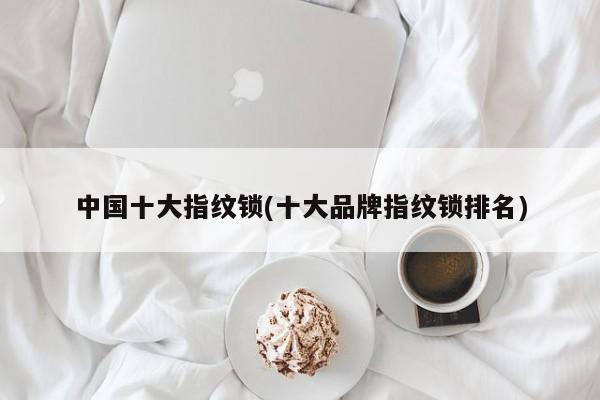 中国十大指纹锁(十大品牌指纹锁排名)