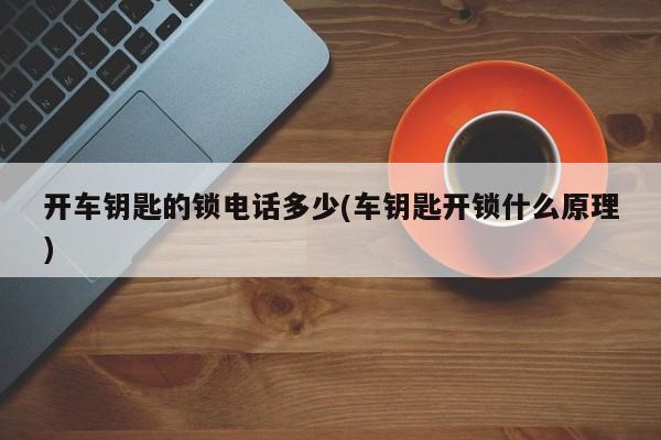 开车钥匙的锁电话多少(车钥匙开锁什么原理)