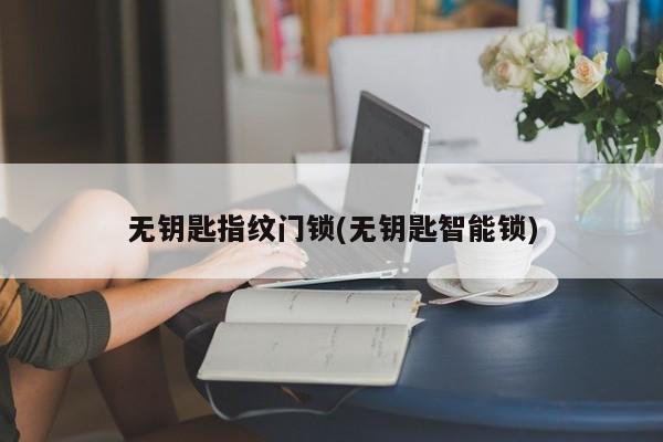 无钥匙指纹门锁(无钥匙智能锁)