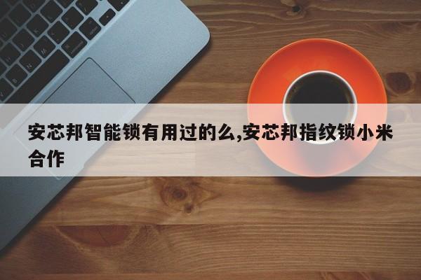 安芯邦智能锁有用过的么,安芯邦指纹锁小米合作