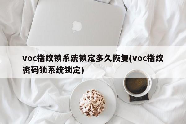 voc指纹锁系统锁定多久恢复(voc指纹密码锁系统锁定)