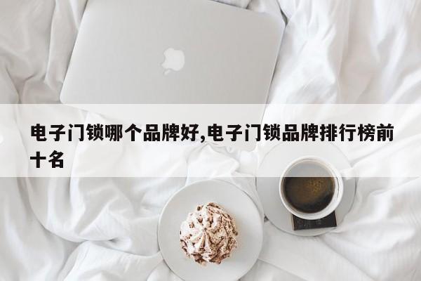 电子门锁哪个品牌好,电子门锁品牌排行榜前十名