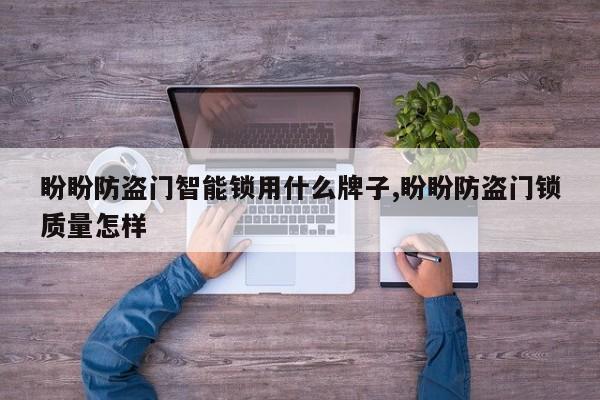 盼盼防盗门智能锁用什么牌子,盼盼防盗门锁质量怎样