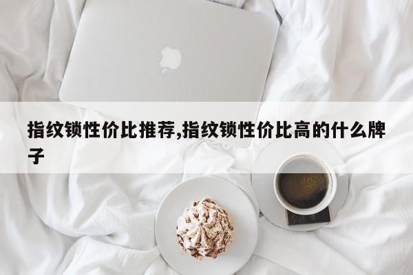 指纹锁性价比推荐,指纹锁性价比高的什么牌子