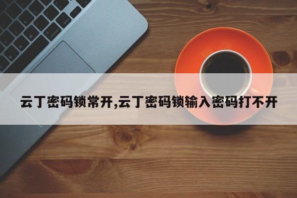 云丁密码锁常开,云丁密码锁输入密码打不开