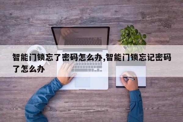 智能门锁忘了密码怎么办,智能门锁忘记密码了怎么办