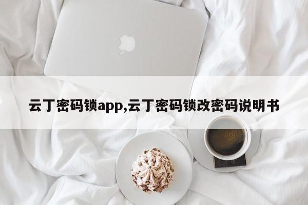 云丁密码锁app,云丁密码锁改密码说明书