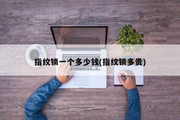 指纹锁一个多少钱(指纹锁多贵)