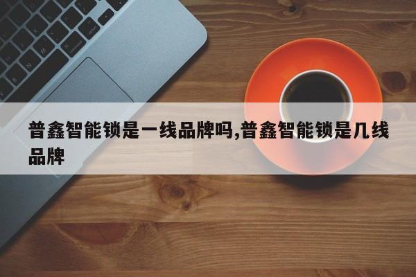 普鑫智能锁是一线品牌吗,普鑫智能锁是几线品牌