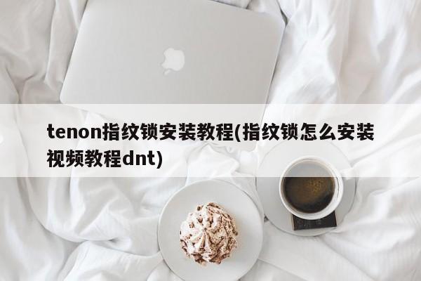 tenon指纹锁安装教程(指纹锁怎么安装视频教程dnt)