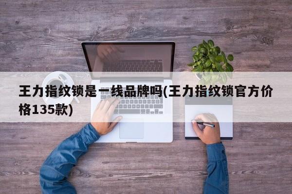 王力指纹锁是一线品牌吗(王力指纹锁官方价格135款)
