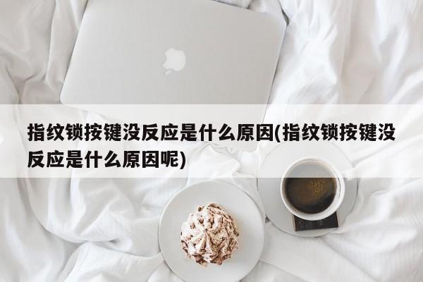 指纹锁按键没反应是什么原因(指纹锁按键没反应是什么原因呢) 第1张