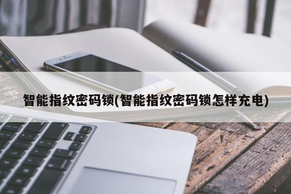 智能指纹密码锁(智能指纹密码锁怎样充电)