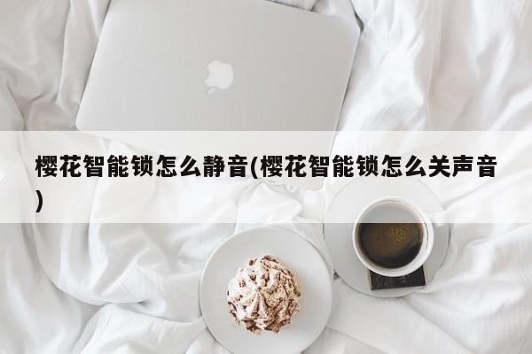 樱花智能锁怎么静音(樱花智能锁怎么关声音)