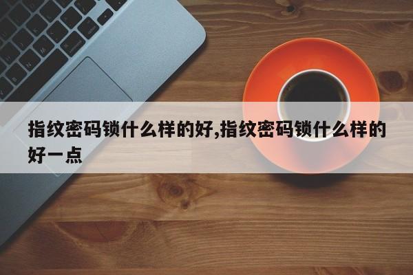 指纹密码锁什么样的好,指纹密码锁什么样的好一点