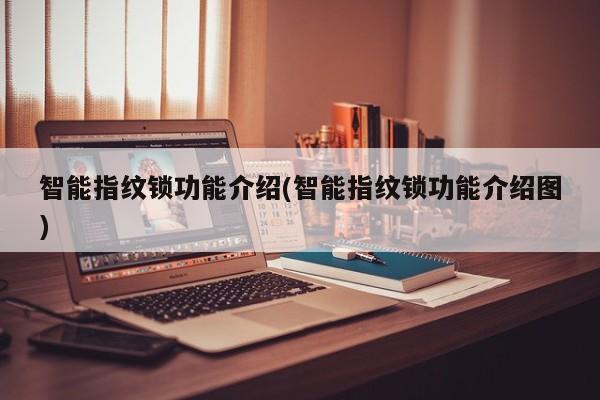 智能指纹锁功能介绍(智能指纹锁功能介绍图)