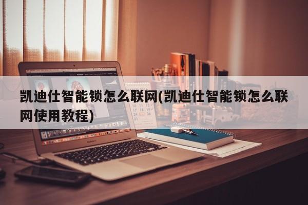 凯迪仕智能锁怎么联网(凯迪仕智能锁怎么联网使用教程)