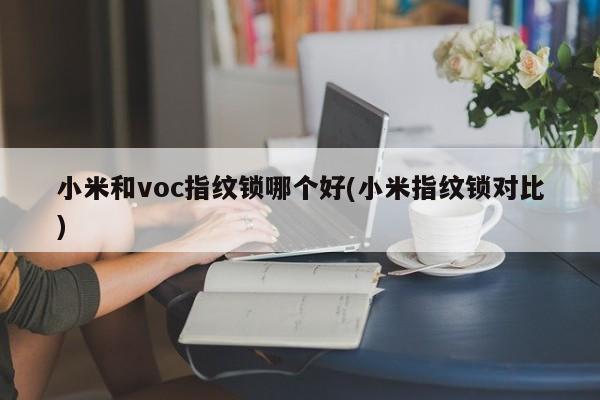 小米和voc指纹锁哪个好(小米指纹锁对比)