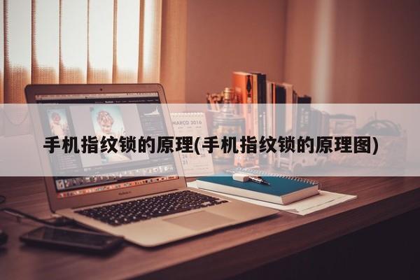 手机指纹锁的原理(手机指纹锁的原理图)