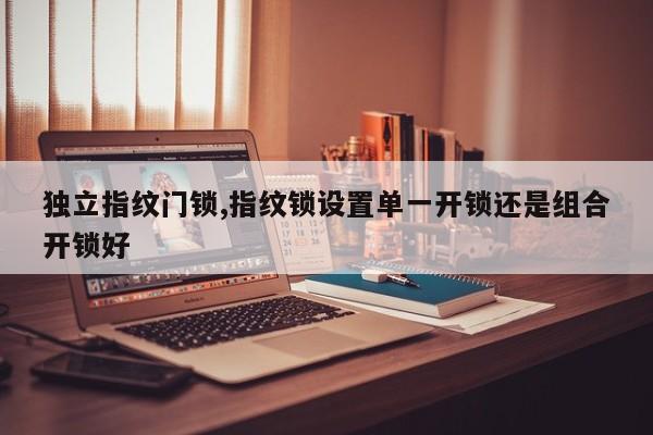 独立指纹门锁,指纹锁设置单一开锁还是组合开锁好 第1张