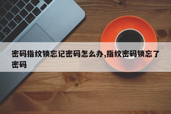 密码指纹锁忘记密码怎么办,指纹密码锁忘了密码