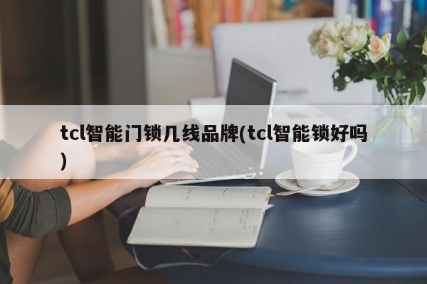 tcl智能门锁几线品牌(tcl智能锁好吗)