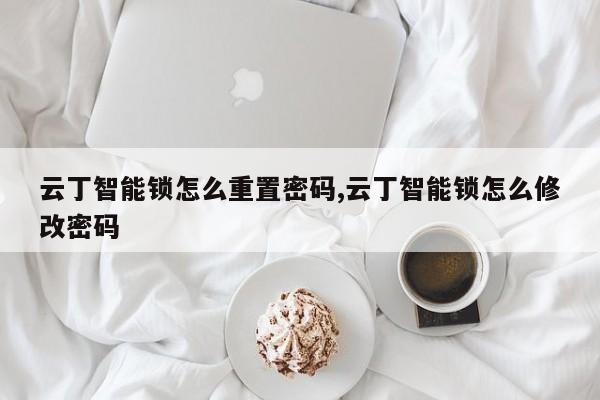 云丁智能锁怎么重置密码,云丁智能锁怎么修改密码 第1张