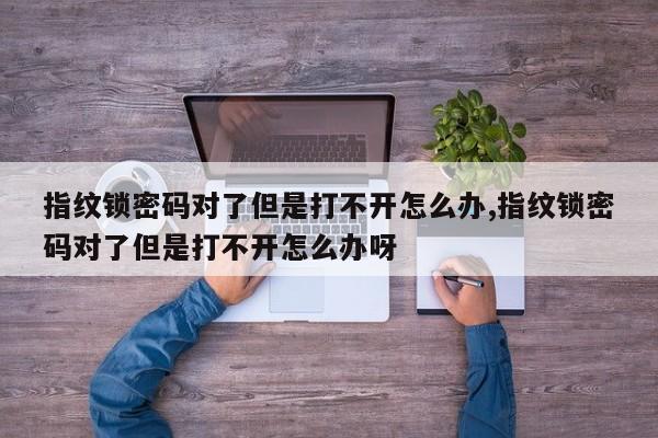 指纹锁密码对了但是打不开怎么办,指纹锁密码对了但是打不开怎么办呀