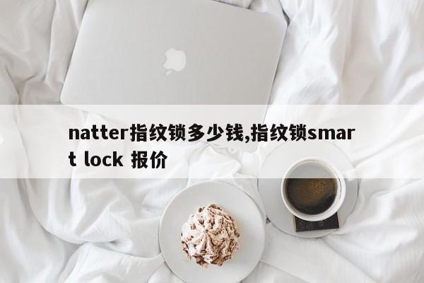 natter指纹锁多少钱,指纹锁smart lock 报价