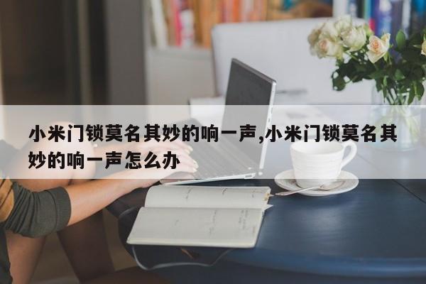小米门锁莫名其妙的响一声,小米门锁莫名其妙的响一声怎么办