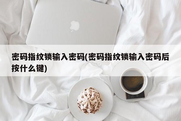密码指纹锁输入密码(密码指纹锁输入密码后按什么键)