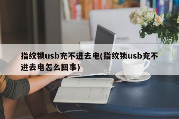 指纹锁usb充不进去电(指纹锁usb充不进去电怎么回事)