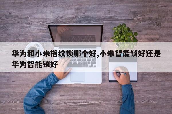 华为和小米指纹锁哪个好,小米智能锁好还是华为智能锁好