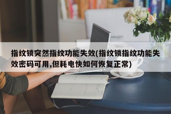 指纹锁突然指纹功能失效(指纹锁指纹功能失效密码可用,但耗电快如何恢复正常) 第1张