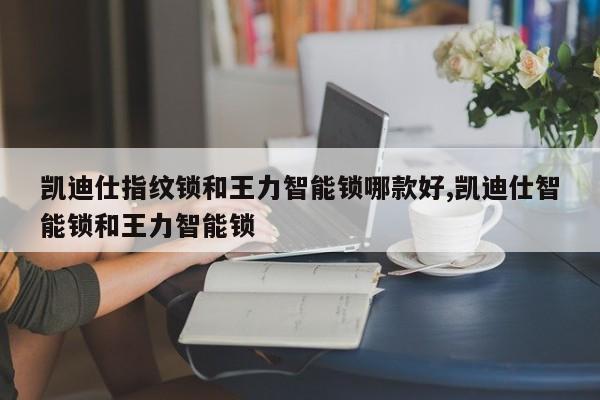 凯迪仕指纹锁和王力智能锁哪款好,凯迪仕智能锁和王力智能锁