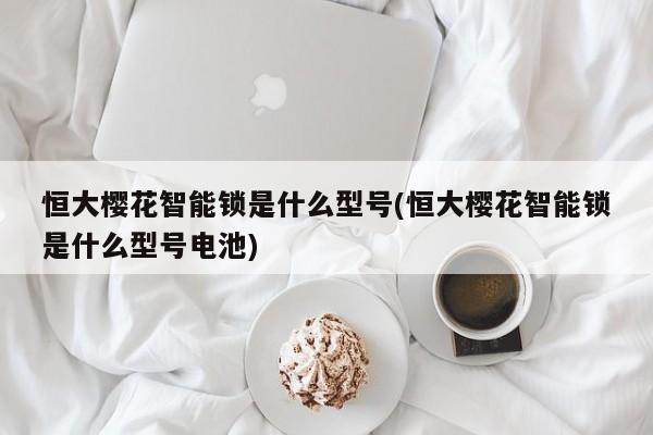 恒大樱花智能锁是什么型号(恒大樱花智能锁是什么型号电池)