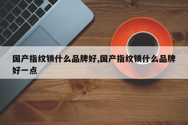 国产指纹锁什么品牌好,国产指纹锁什么品牌好一点