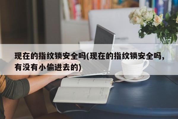现在的指纹锁安全吗(现在的指纹锁安全吗,有没有小偷进去的)