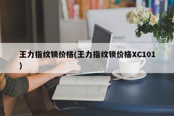 王力指纹锁价格(王力指纹锁价格XC101) 第1张