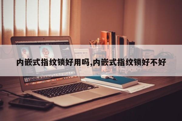内嵌式指纹锁好用吗,内嵌式指纹锁好不好 第1张